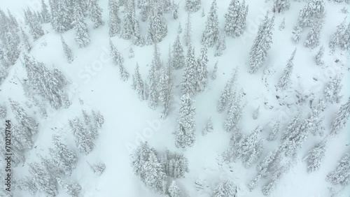 Cinematic aerial Colorado Deep powder snowing Loveland Ski Resort Eisenhower Tunnel Coon Hill backcountry i70 heavy winter spring snow Continential Divide Rocky Mountains covered trees slow pan down photo