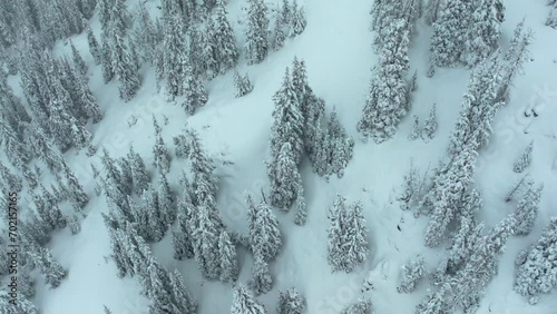 Deep powder snowing cinematic aerial Colorado Loveland Ski Resort Eisenhower Tunnel Coon Hill backcountry i70 heavy winter spring snow Continential Divide Rocky Mountains cover pine trees birds eye photo