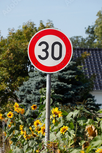 Verkehrsschild Zulässige Höchstgeschwindigkeit Dreissig Stundenkilometer in einem Wohngebiet mit Sonnenblumen, Deutschland