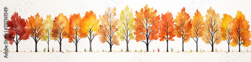 watercolor autumn yellow trees on a white background  long narrow panoramic view  a row of autumn trees simple illustration