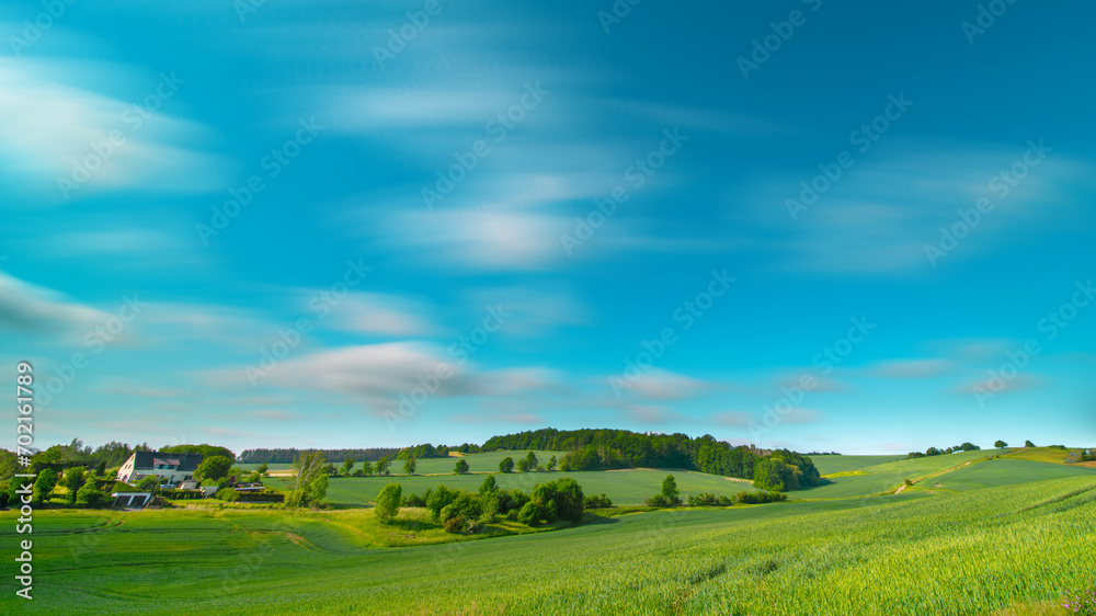 Tranquil Rural Meadow Landscape with Green Grass and Trees Under Blue Sky