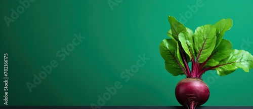 one raw beetroots on green background with blank space, vegetable antioxidant and anthocyanin healthy benefit concept, Generative Ai photo