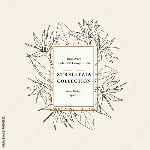 Line art strelitzia or bird of paradise flower frame