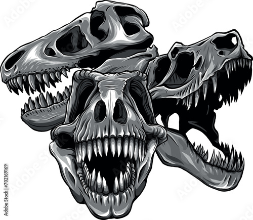 monochromatic illustration of set of skulls of dinosaur
