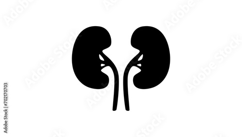 Kidneys sign,  black isolated silhouette