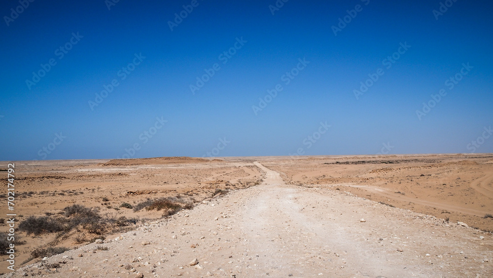 The landscape of Western Sahara in Northern Africa