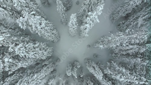 Cinematic aerial Colorado winter wonderland spring deep powder snow covered pine trees Loveland Ski Resort Eisenhower Tunnel Coon Hill backcountry i70 Continential Divide Rocky Mountains circle photo