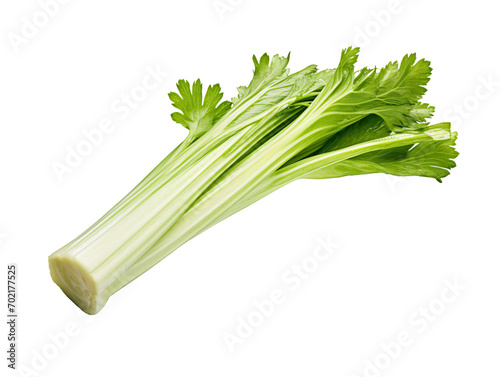 celery isolated