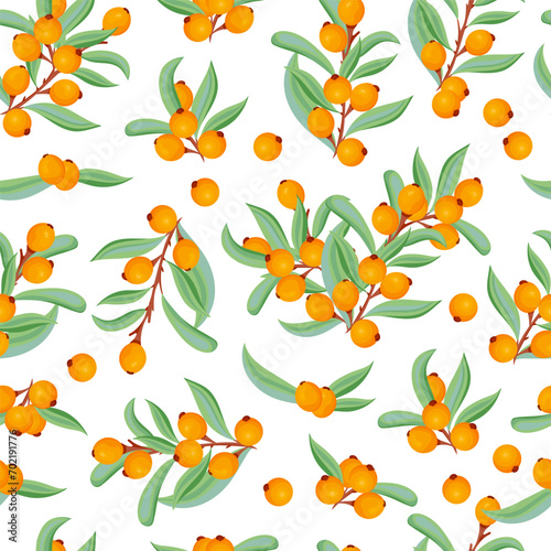 Sea-buckthorn. Seamless vector background. Berries, leaves