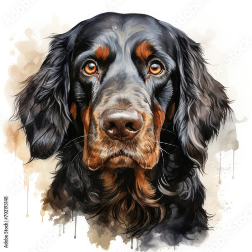 watercolor Gordon Setter clipart, Generative Ai