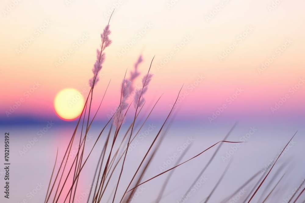 Stalks of small grass close-up in the background of sunset over a calm sea, sun setting over the horizon Stalks of small grass close-up in the background of sunset over a calm sea, sun setting over the horizon