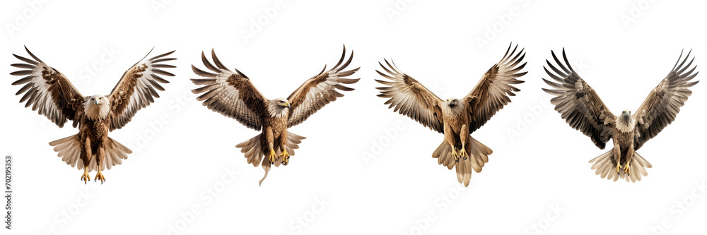 A set of single Saudi Arabian Eagles is flying isolated on a transparent background in the top view. PNG A set of single Saudi Arabian Eagles is flying isolated on a transparent background in the top view. PNG