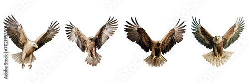 A set of single Saudi Arabian eagles is flying isolated on a transparent background in the top view. PNG © Nayan