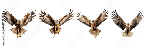 A set of single Saudi Arabian Eagles is flying isolated on a transparent background in the top view. PNG © Nayan