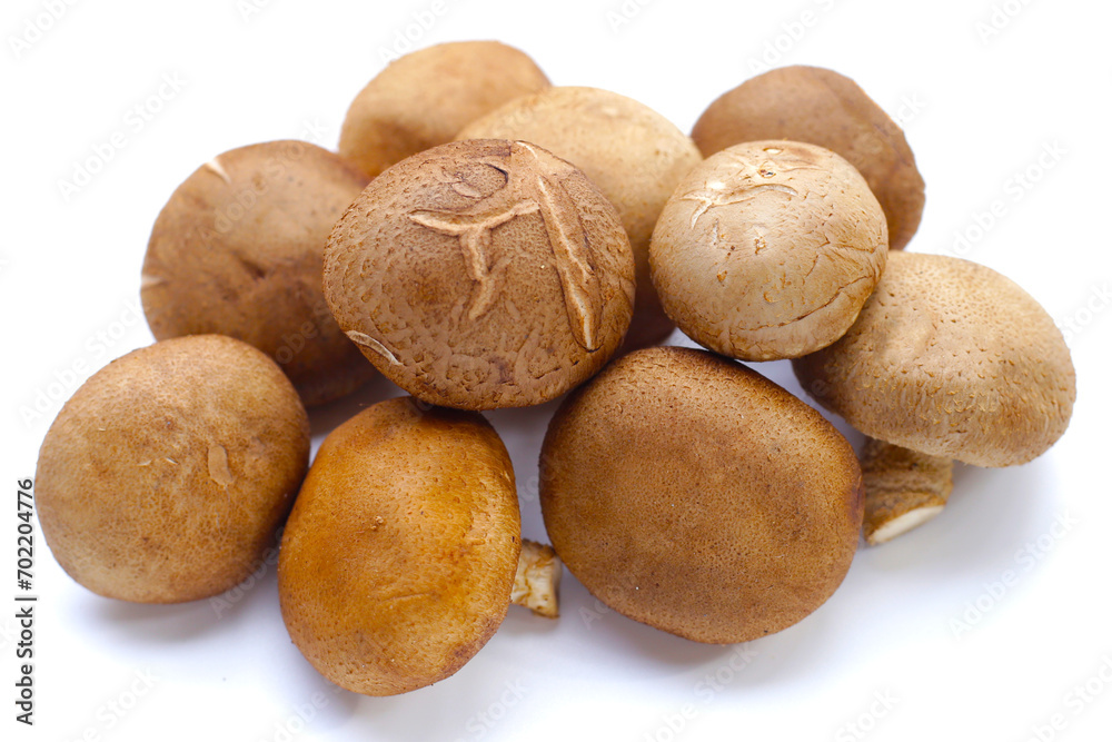Fresh shiitake mushrooms on white background. Fresh shiitake mushrooms on white background.