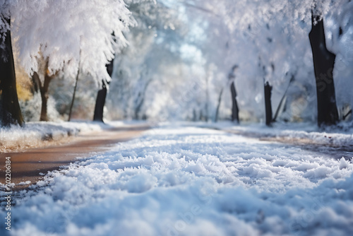 the road in winter, beautiful view, snow and frost with bright sunlight