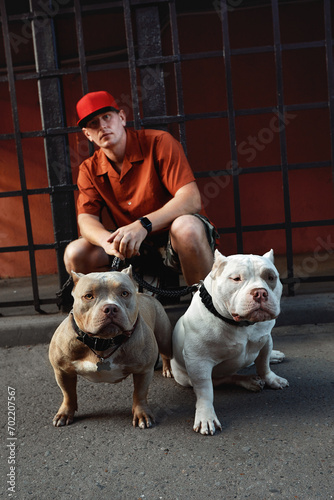 Canvas Print young stylishly dressed man with two american bully dogs on city streets