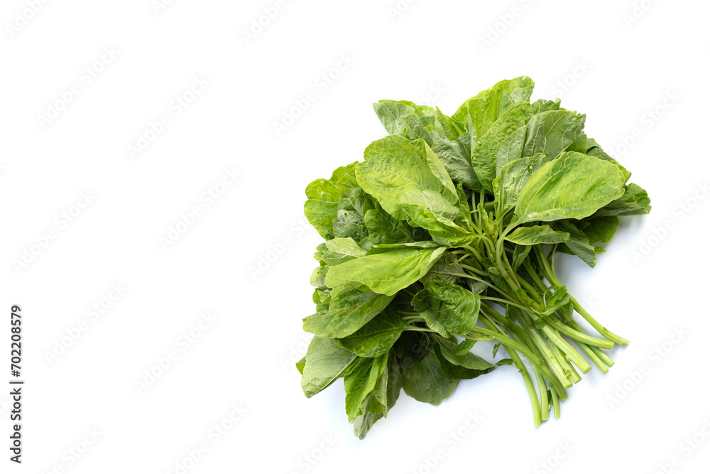 Green spinach on white background. Green spinach on white background.