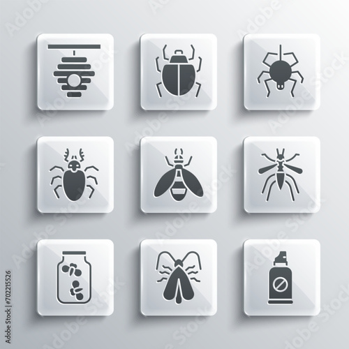 Set Clothes moth, Spray against insects, Mosquito, Bee, Fireflies bugs jar, Beetle deer, Hive for bees and Spider icon. Vector