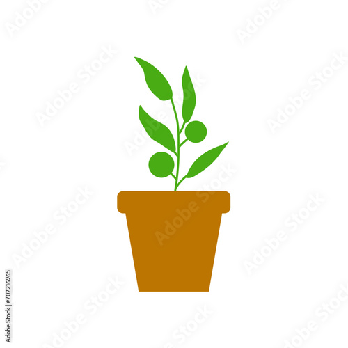 Potted Plant Vector Illustration