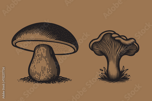 Mushrooms. Chanterelle and boletus. Beautiful engraving monochrome vector illustration. Icon, logo, isolated object