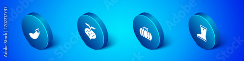 Set Isometric Eggplant, Pumpkin, Waterproof rubber boot and Beet icon. Vector
