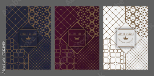 A luxurious pattern. A set of spectacular patterns for covers, prints, interior design, packaging, premium funds and creative ideas