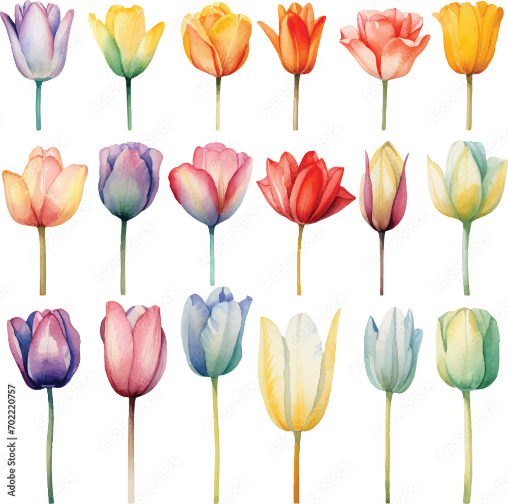 Cute Watercolor tulips pack Cute Watercolor tulips pack