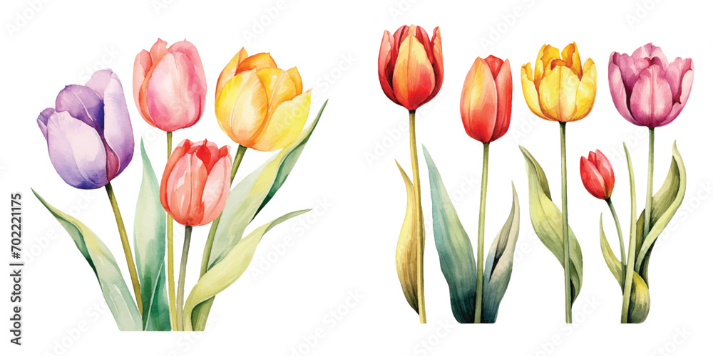 Cute Watercolor tulips pack Cute Watercolor tulips pack