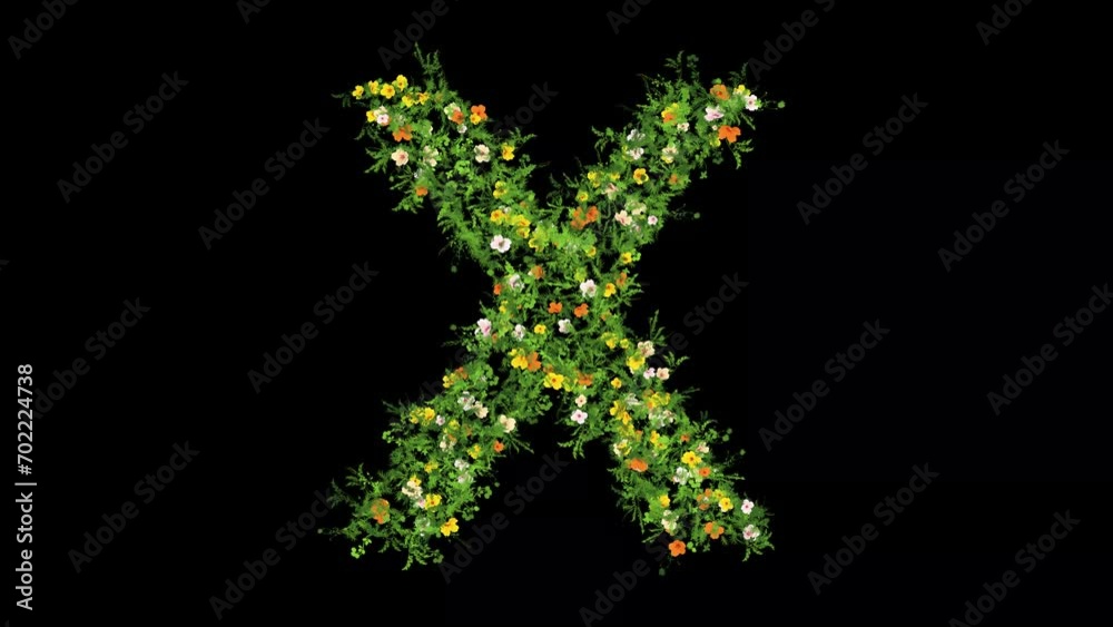 English alphabet X with grass and colorful flowers on plain black background English alphabet X with grass and colorful flowers on plain black background