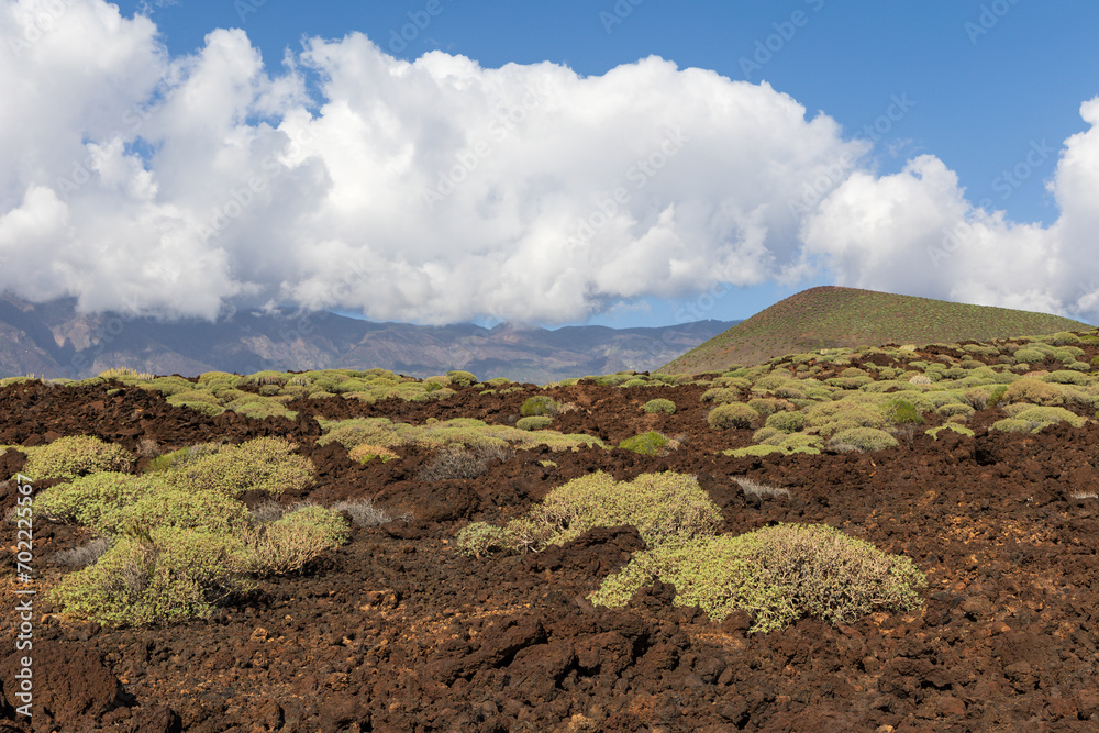 Lava landscape in Malpais de Guimar badlands, Puertito de Guimar, Tenerife, Spain