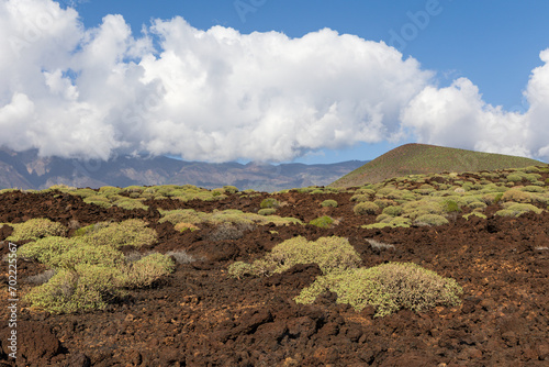 Lava landscape in Malpais de Guimar badlands, Puertito de Guimar, Tenerife, Spain