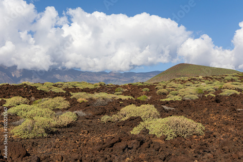 Obraz na płótnie Lava landscape in Malpais de Guimar badlands, Puertito de Guimar, Tenerife, Spain w salonie