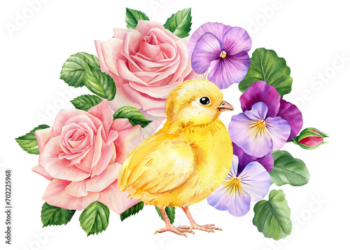 Chick and beautiful spring flowers, small yellow bird on isolated white background in watercolor hand-drawn illustration