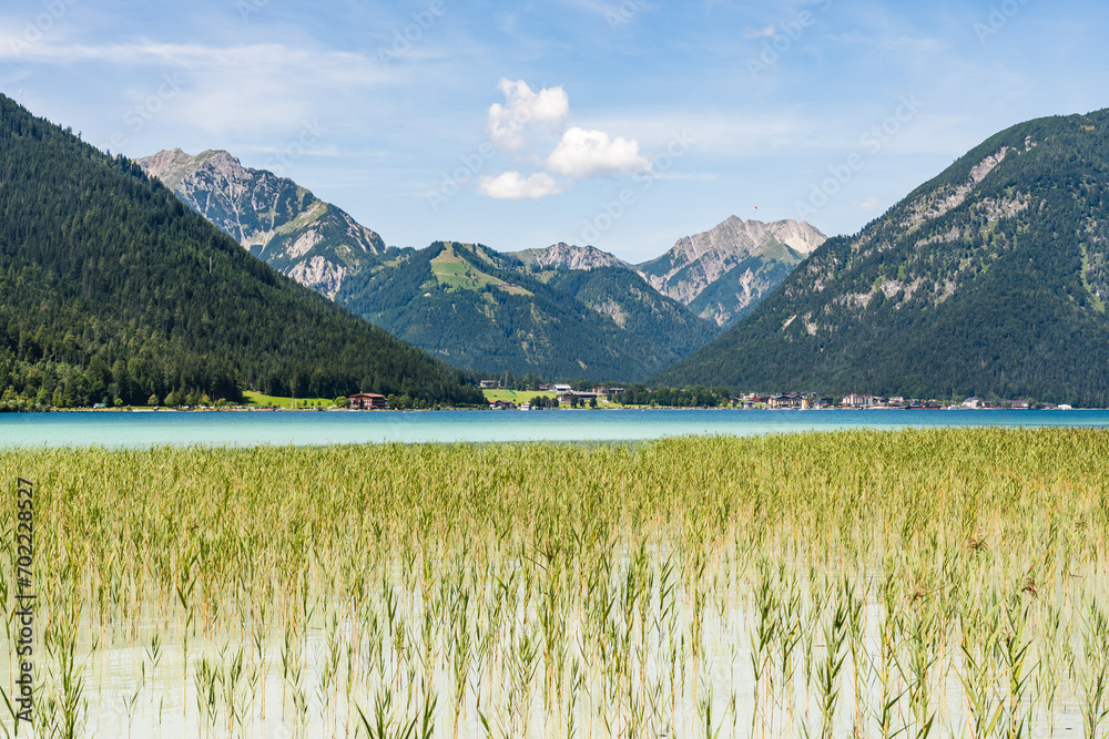 Blue mountain lake Achensee in Austria with reeds in foreground and the Alps in the background