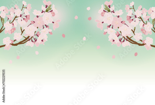 桜吹雪の背景素材 © suginoki