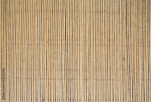 Fences are made from small dried bamboo trees. Walls are ideal for garden decoration or decorate the place. Old brown tone bamboo plank. Pattern of bamboo fencing texture  