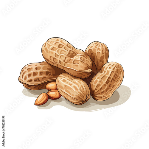peanuts isolated on white background design