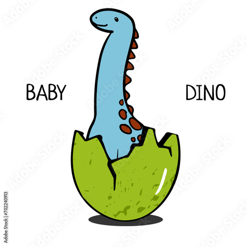 a small dinosaur hatched from an egg. baby cartoon brontosaurus isolated on white for children's illustrations, print on T-shirt, poster in children's room, funny baby character, Stickers