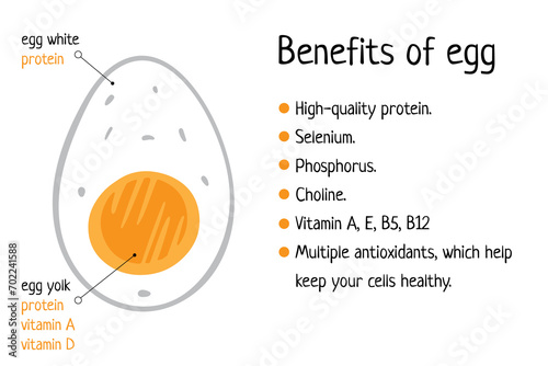 benefits of eating boiled eggs Infographic illustration, useful, nutritious cheap, vitamins, selenium, isolated on white. Nutritious healthy food High-quality protein for all ages