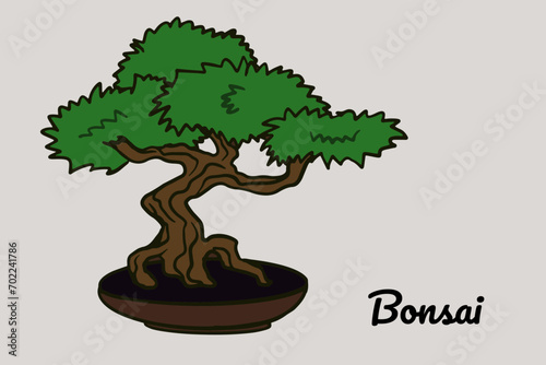 Japanese bonsai tree grown in container. Beautiful cartoon doodle tree. Bonsai style tree.  Decorative vector illustration of a small tree in pot. Nature oriental art for poster, textile
