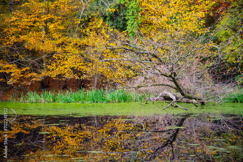 Herbstliche Impressionen aus der Natur