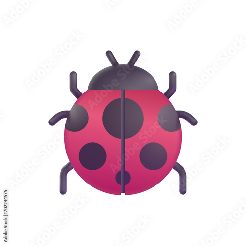 Lady Beetle