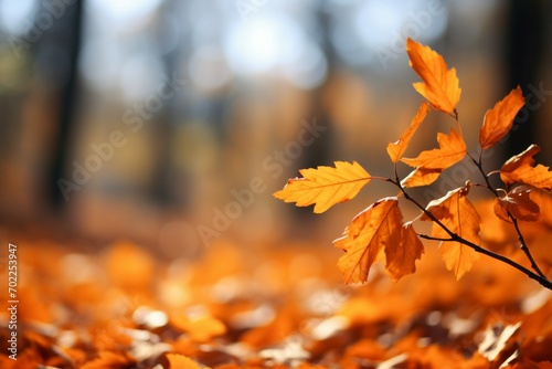 Fall serenity closeup of golden leaves  blurred autumn landscape backdrop