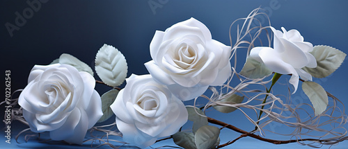 Beautiful white rose white pale