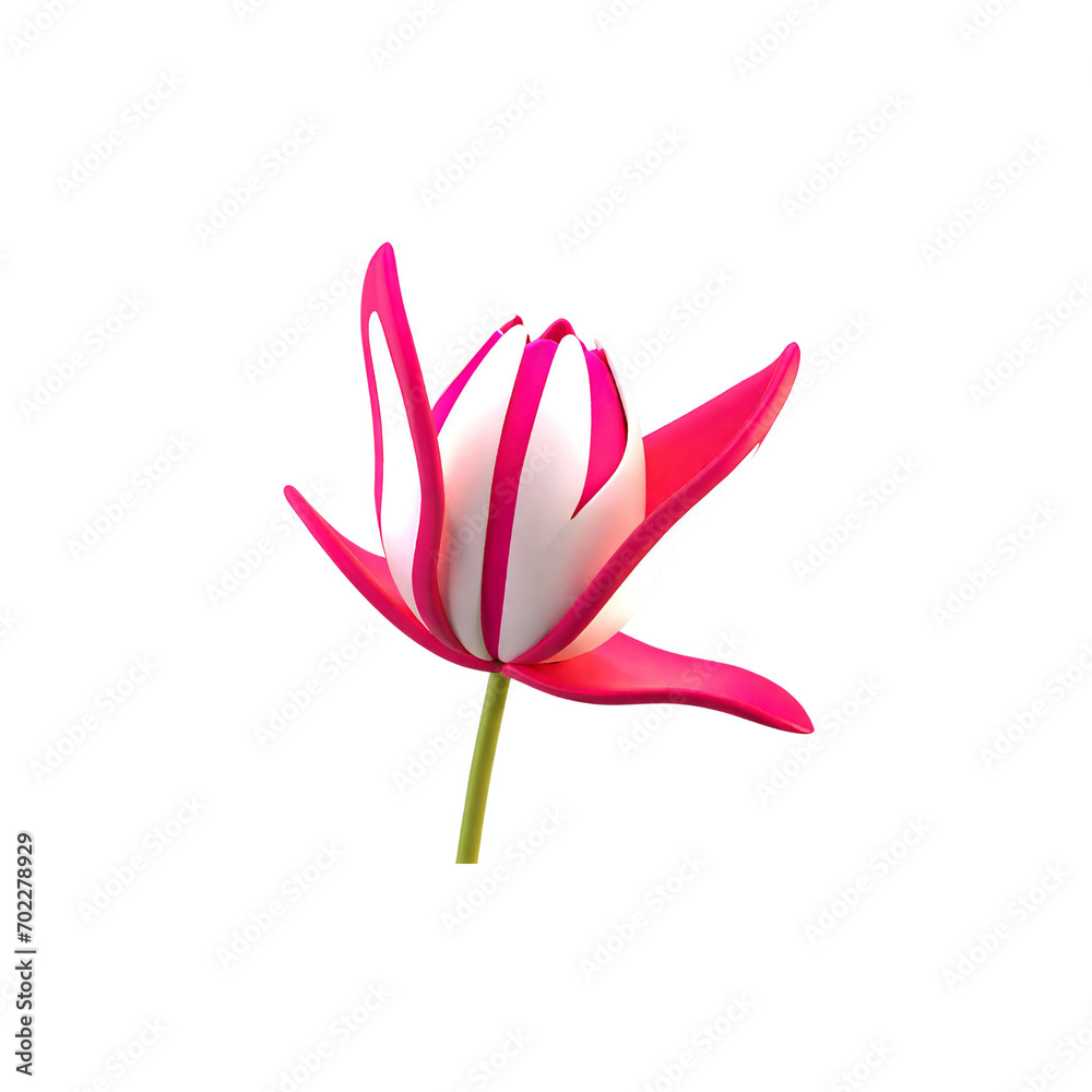 pink lotus isolated on white