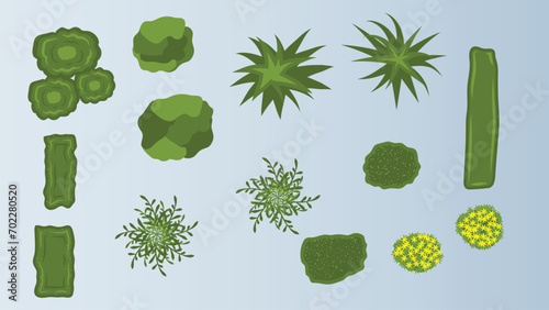 illustration flat cartoon top view of tree and bushes