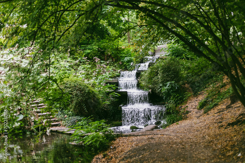waterfall in the forest