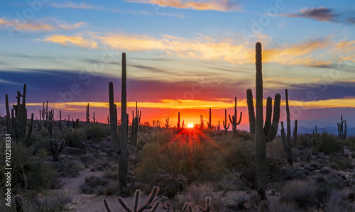 Setting Sun With Sunrays & Cactus in the Arizona Desert © Ray Redstone