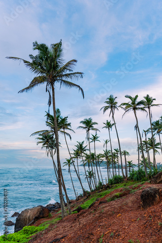 Coconut Tree Hill Mirissa Sri Lanka at Sunrise 